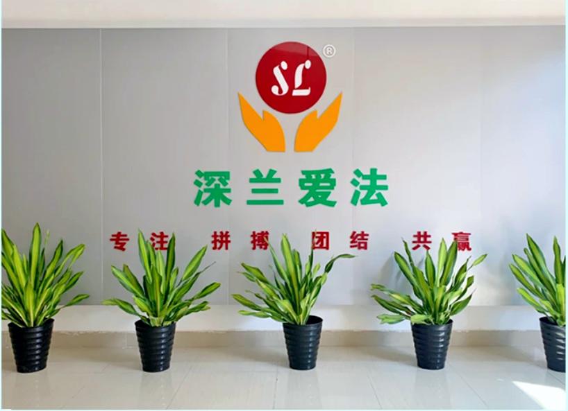 深兰爱法｜守护的远征，新程已启